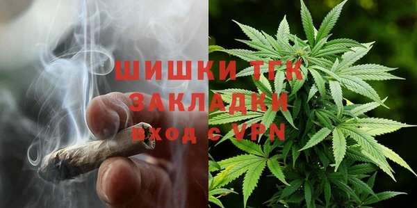 гидропоника Алзамай
