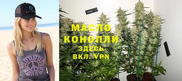 гидропоника Алзамай