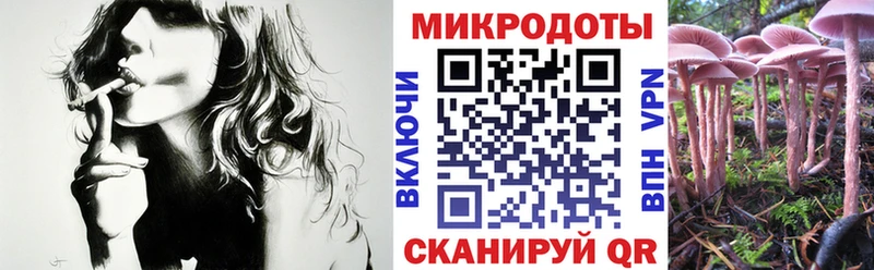 Псилоцибиновые грибы GOLDEN TEACHER  как найти   Кольчугино 