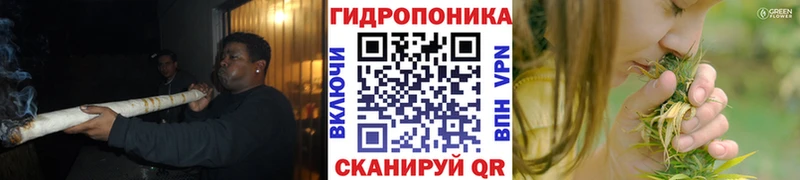 мега онион  Кольчугино  Канабис марихуана  как найти закладки 